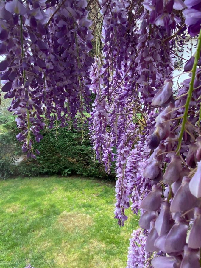 B&B Fior Di Toscana Serravalle Pistoiese Exterior photo